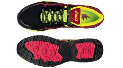 ASICS Gel FujiEndurance