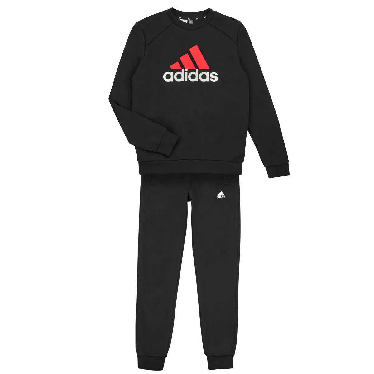 BL FL TS