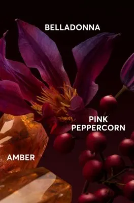 Eau de parfum BOSS The Scent Elixir de 30 ml 