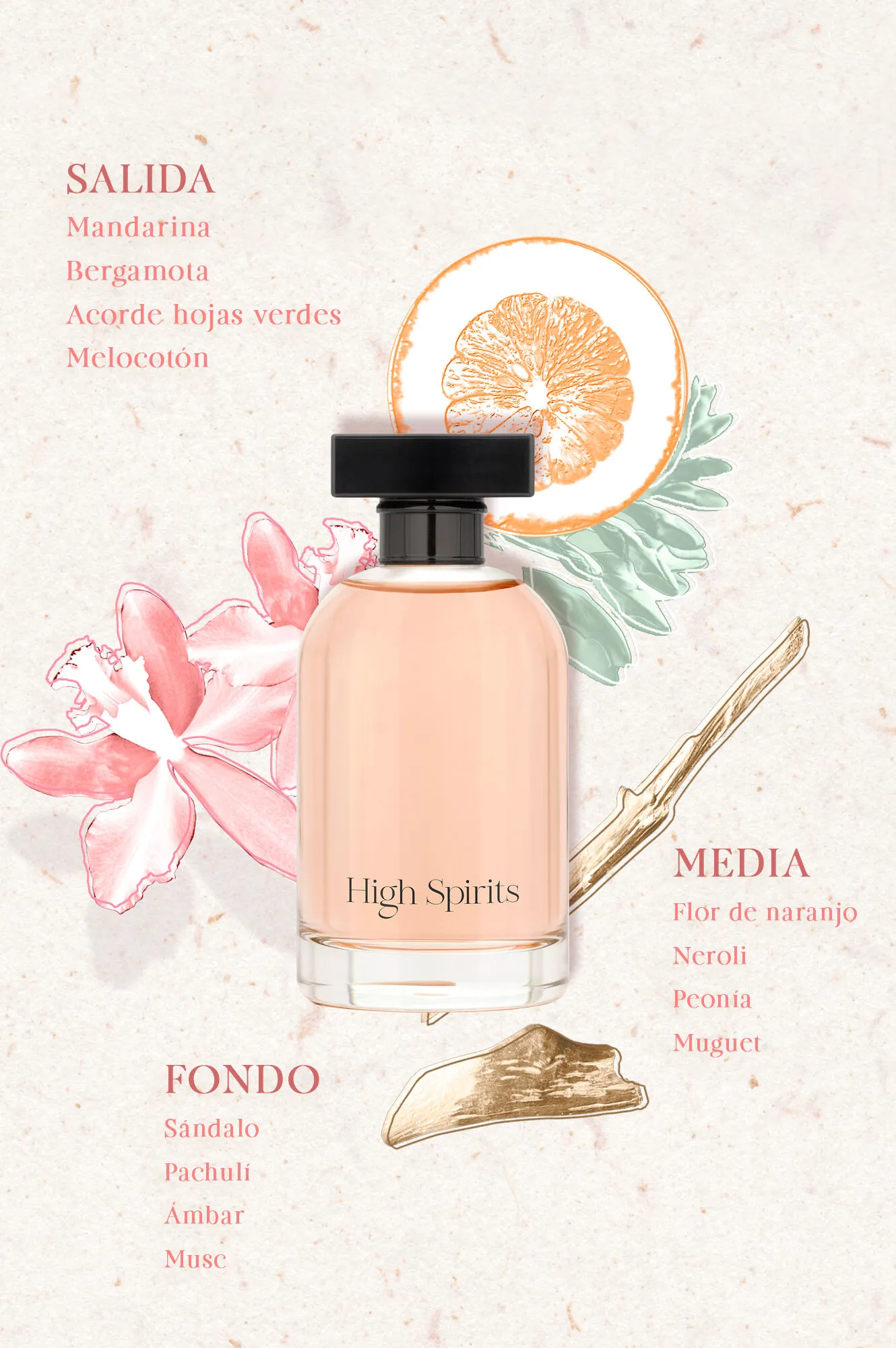 Fragancia Femenina High Spirits 100ML