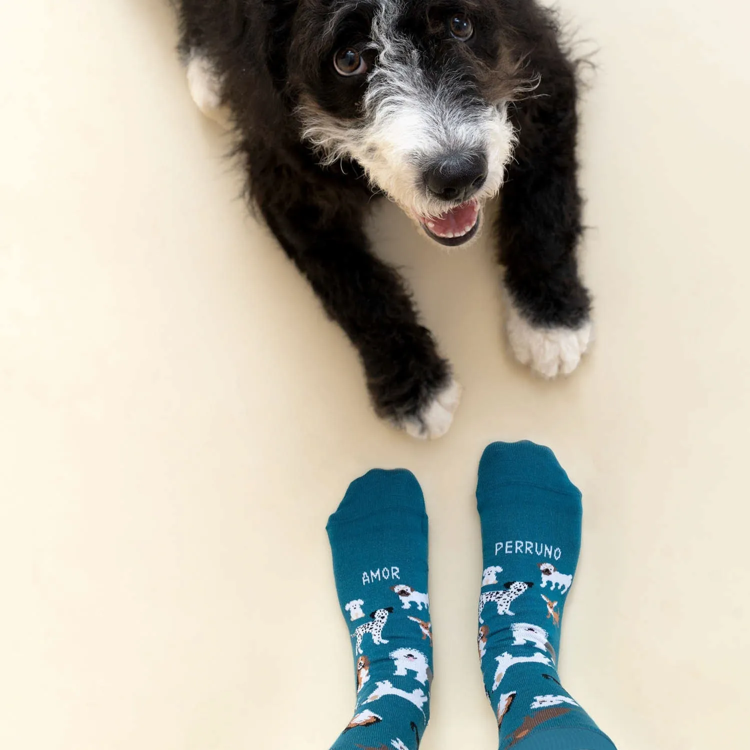Pack Calcetín Amor perruno + Zapatillas Perrito Azul