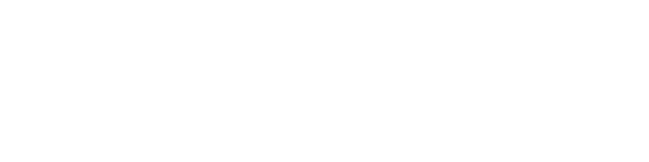 zuecos sanitarios